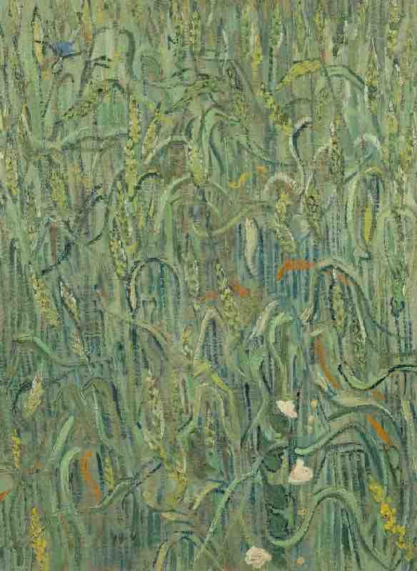 Arts Everyday Living: A Farewell to Van Gogh--A Walk with Vincent into the Fields of Summer
